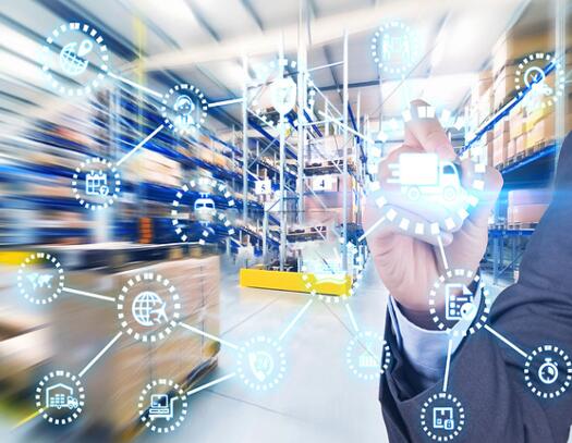 WMS系统：无缝采用的综合指南