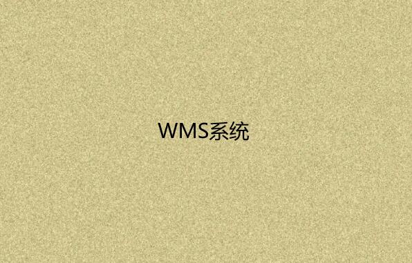 仓库管理系统（WMS）是如何运作的？