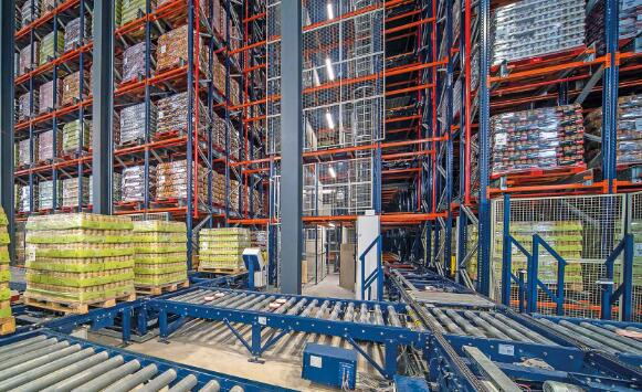 一次全面体检，提高仓储效率与安全双重保障